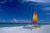 pay39.jpg (11528 octets)