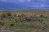 pay6.jpg (13796 octets)